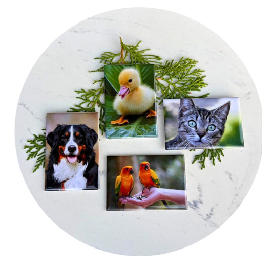 Personalised Photo Magnets